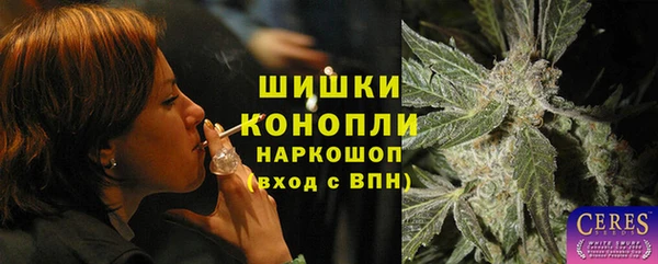сатива Алексин