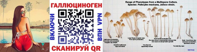 как найти   Кириши  мега маркетплейс  Псилоцибиновые грибы Magic Shrooms 