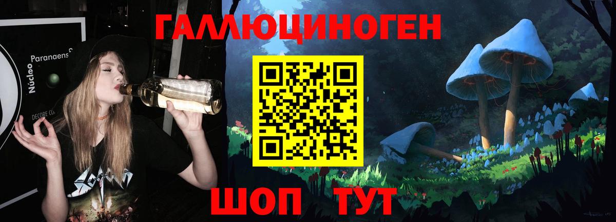 купить закладку  Псилоцибиновые грибы Cubensis  Вход с VPN  Кириши 